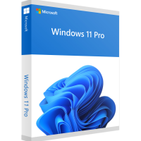 Windows 11 Pro